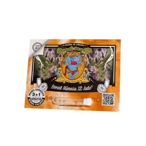 Auto Sweet Mimosa XL