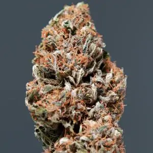 Auto Buddha Medikit CBD