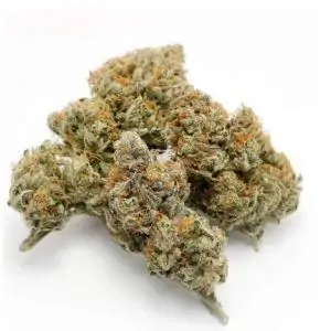 Auto Banana Blaze