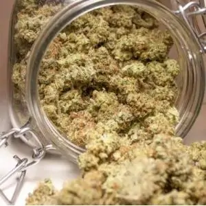 Auto Brooklyn Sunrise