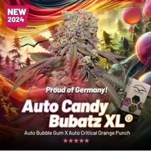 Auto Candy Bubatz XL