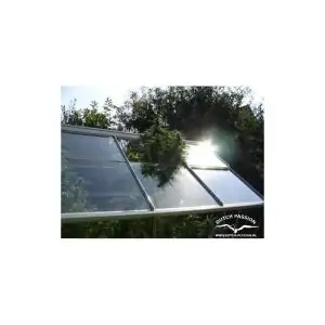 SHAMAN DUTCH PASSION