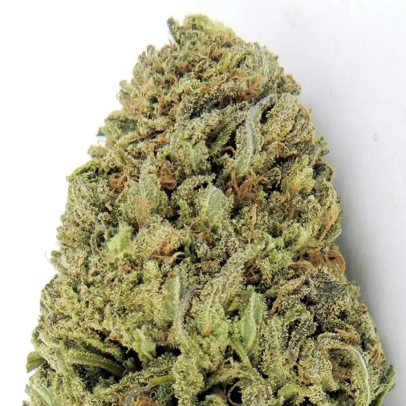 FAST & VAST AUTO HEAVY WEIGHT