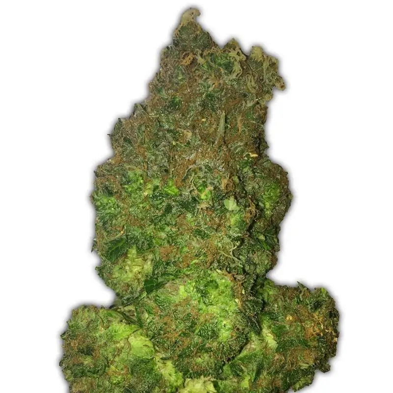 Fruit Punch Auto HEAVY WEIGHT