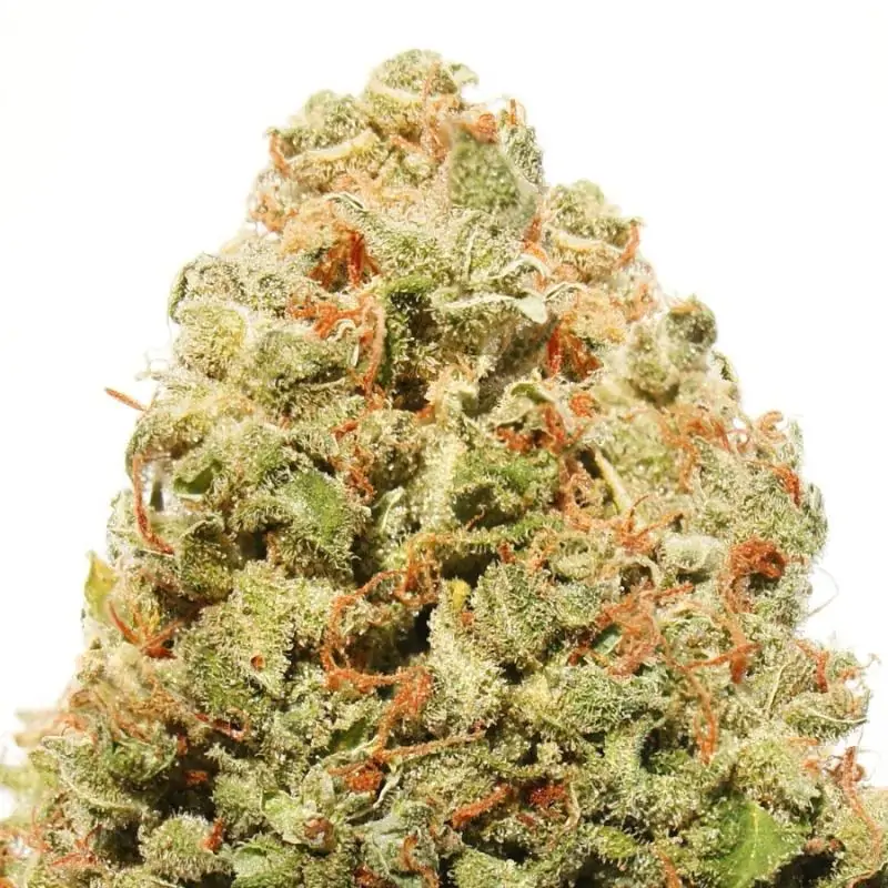 STRAWBERRY CHEESECAKE HEAVY WEIGHT