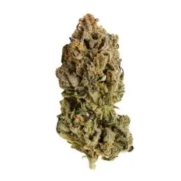 Royal Highness