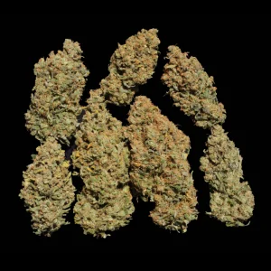 Warlock SERIOUS SEEDS