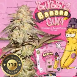 Bubble Banana Gum