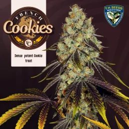 French Cookies