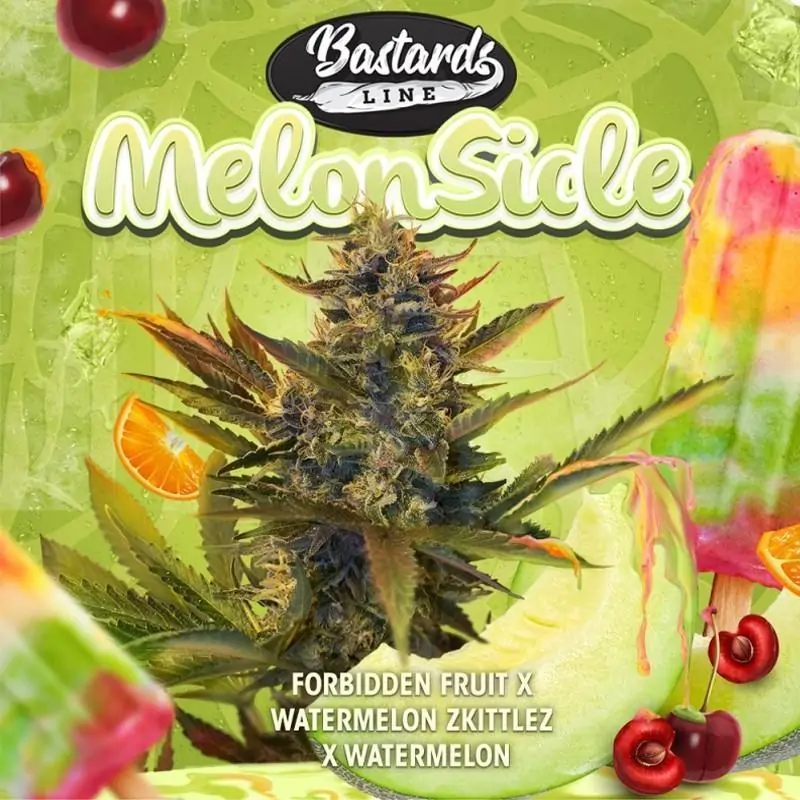 Melonsicle