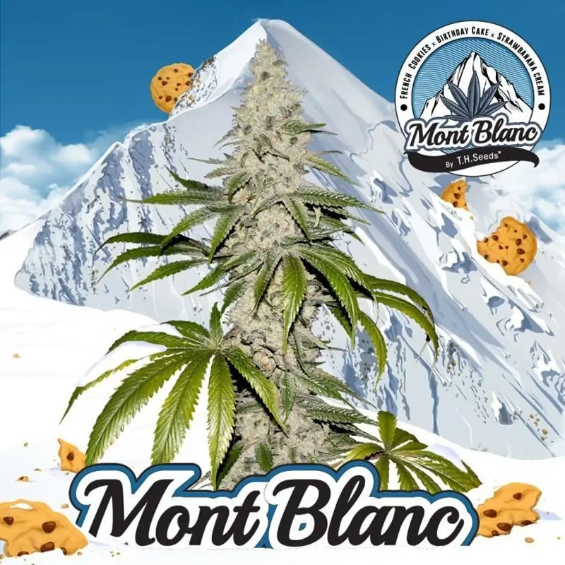 Mont Blanc