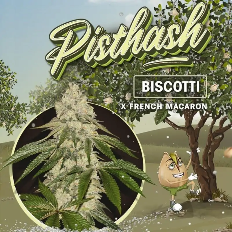 Pisthash
