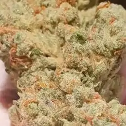 Candy Lime