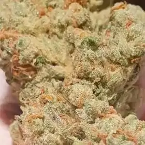 Candy Lime
