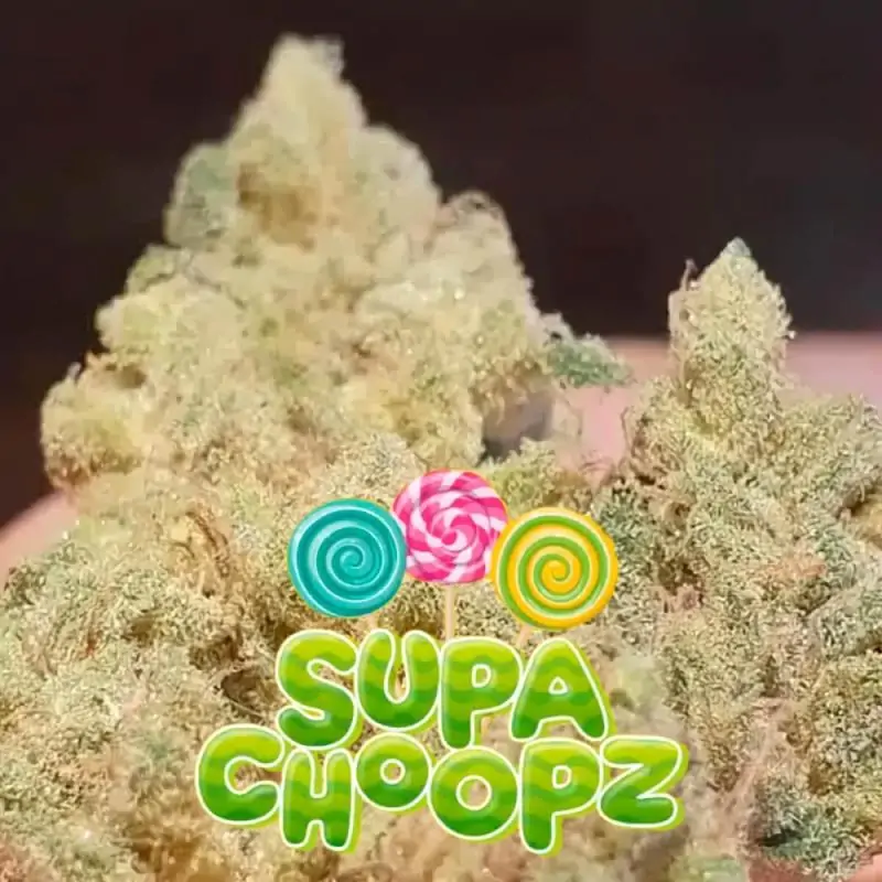 Supa Choopz