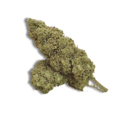 CBD Arima Buddha Caramel