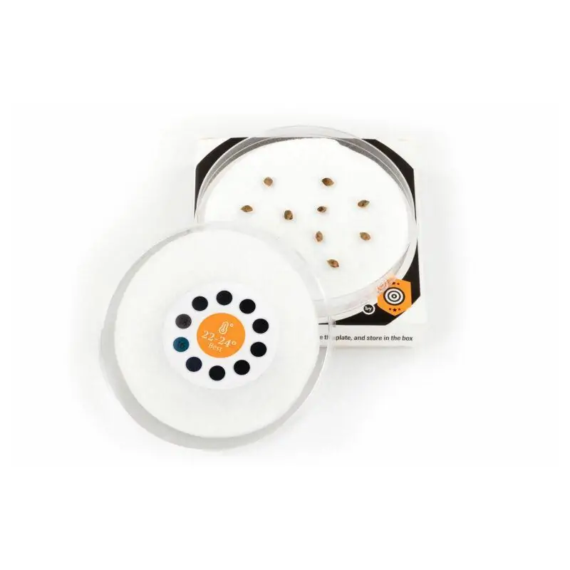 SPROUTLY - GERMINADOR INTELIGENTE