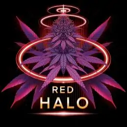 Red Halo