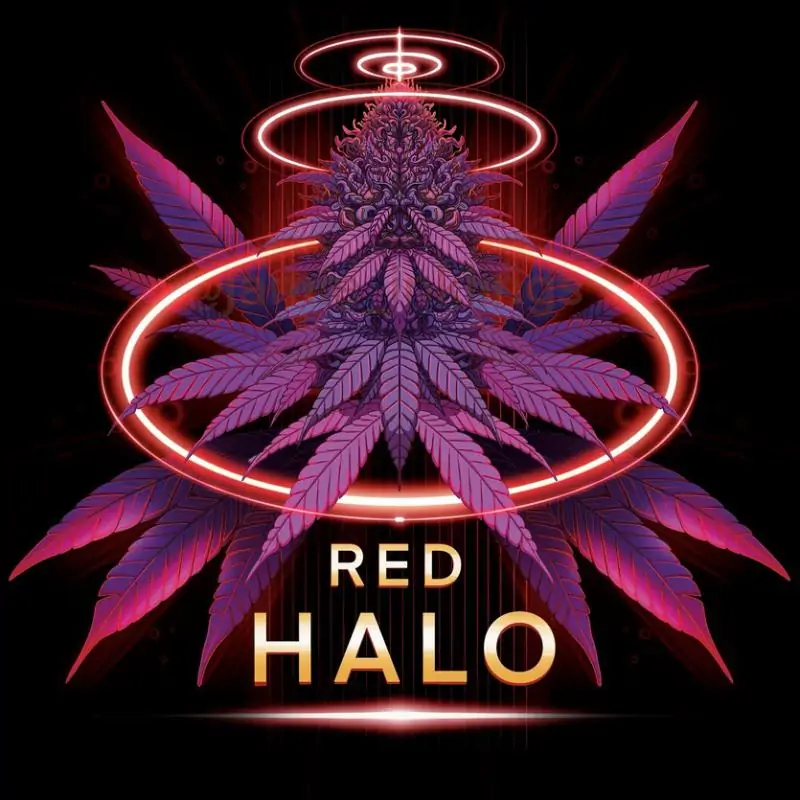 Red Halo Red Halo