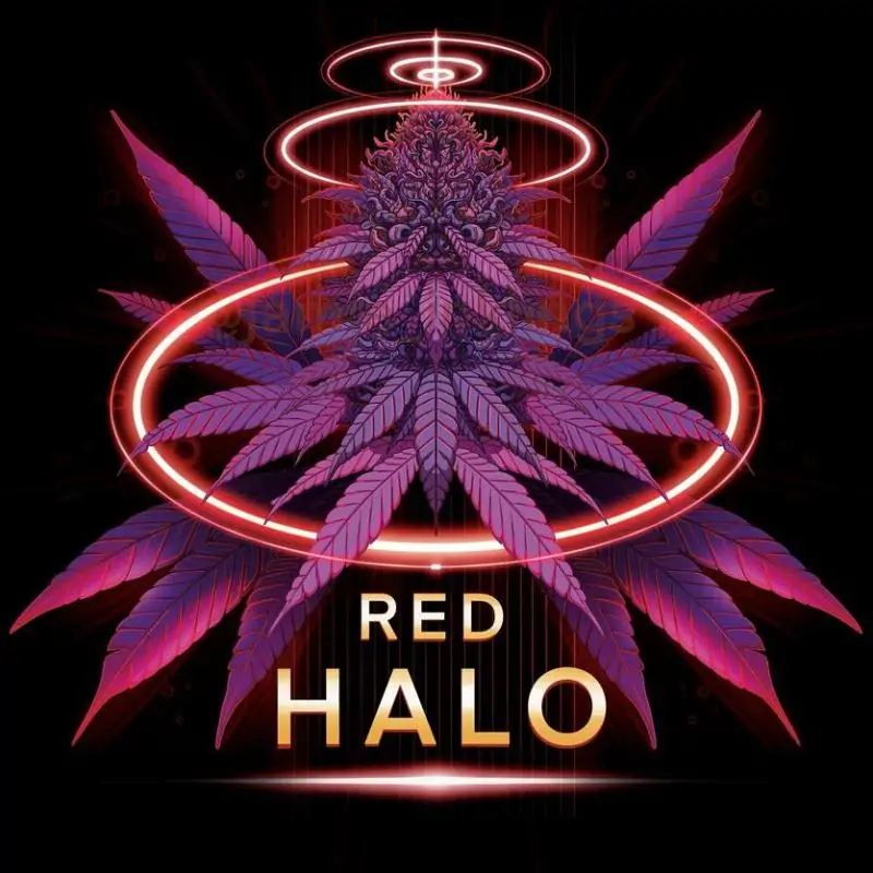 Red Halo