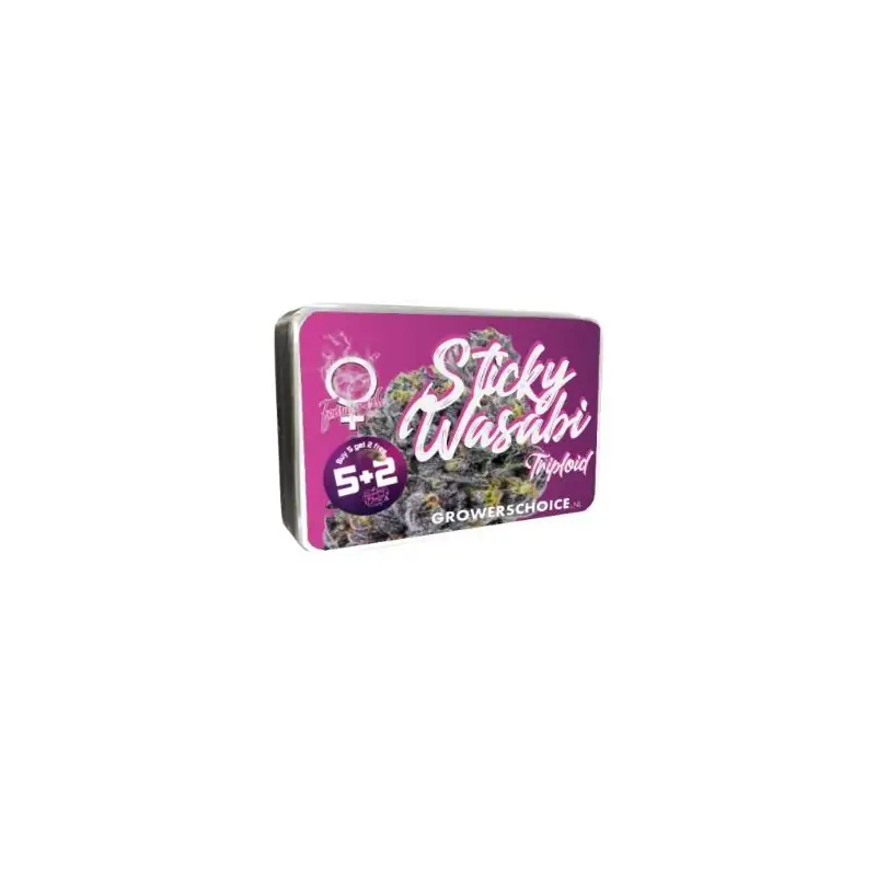 Triploid f1 Sticky wasabi Triploid f1 Sticky wasabi