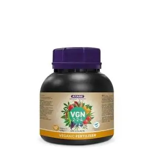 VGN (2-2-4) Atami B'cuzz