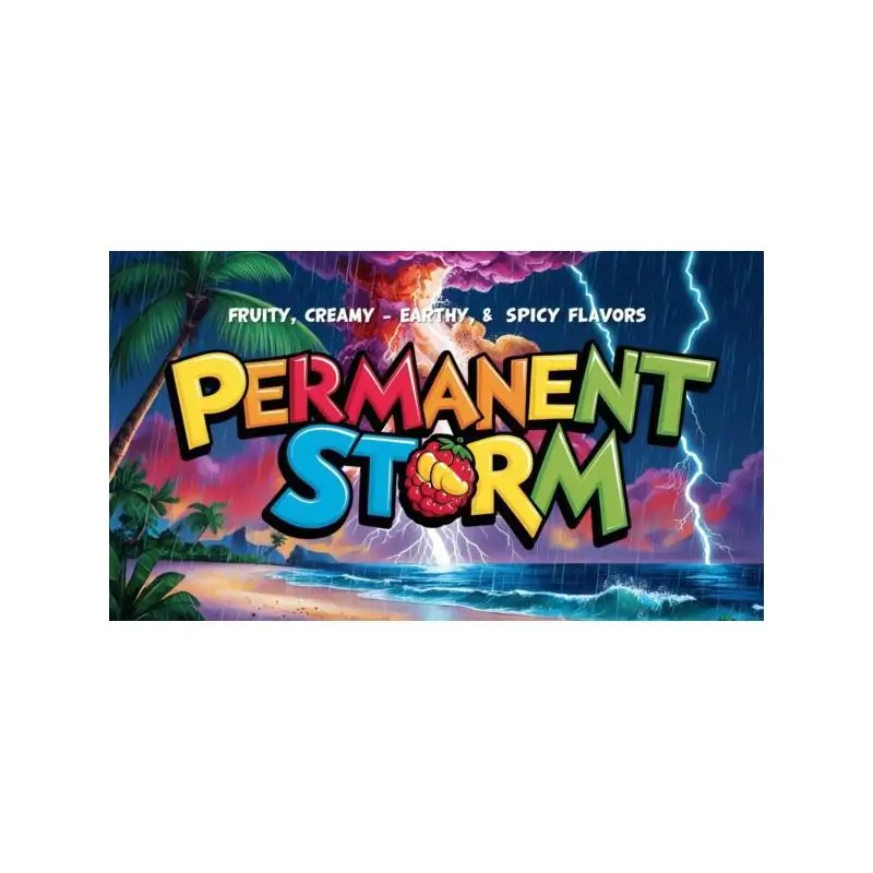 Permanent Storm Permanent Storm