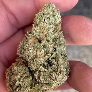 LORD KUSH