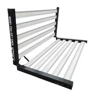 Led Platinum king 1000W driver integrado black edition 2,8 μmol/J