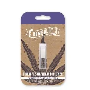 Auto Pineapple Muffin