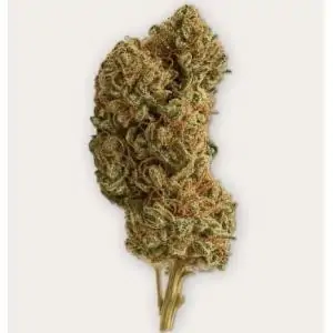 Cañamo Cbd Xuxes Mandarin Haze 6 gr.