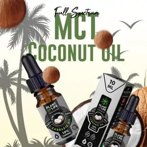 ACEITE DE CBD PLANT OF LIFE 10%