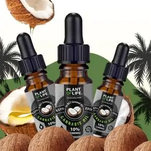 ACEITE DE CBD PLANT OF LIFE 10%