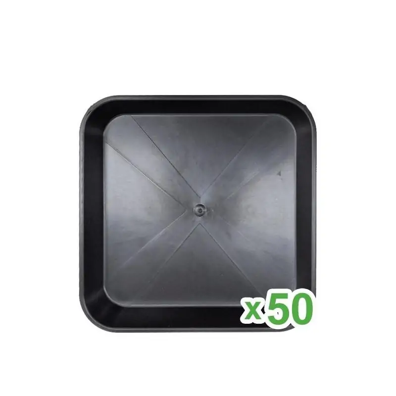 Plato Cuadrado 23x23 cm 50 unidades
