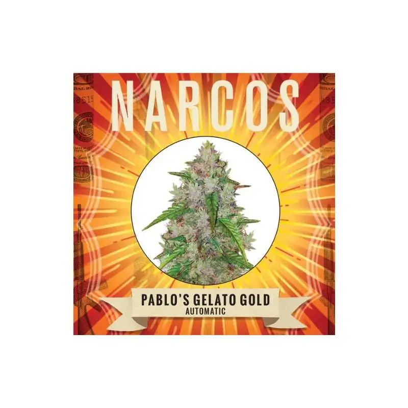Pablo's Gelato Gold