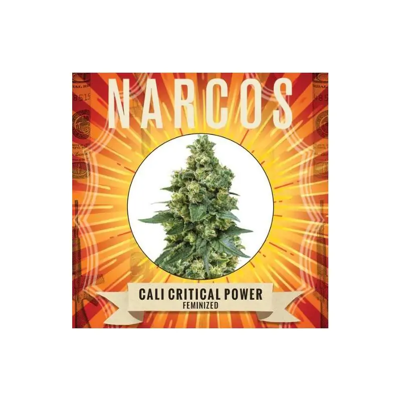 Cali Critical Power