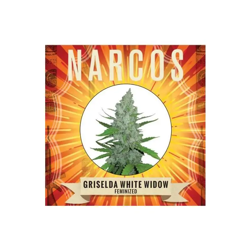 Griselda White Widow