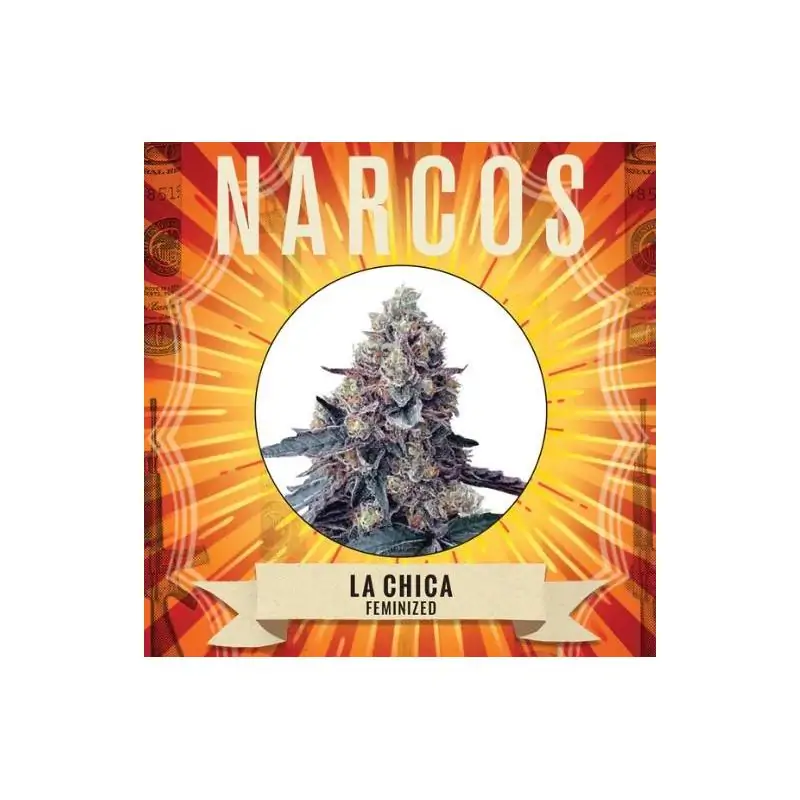 La Chica