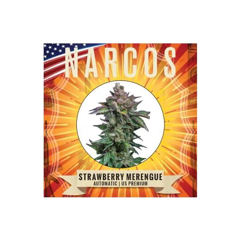 Auto Strawberry Merengue