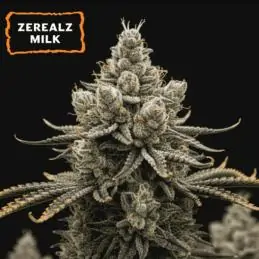 Zerealz Milk