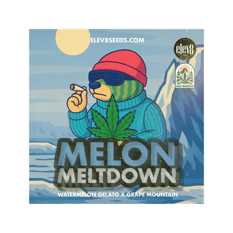 Melon Meltdown