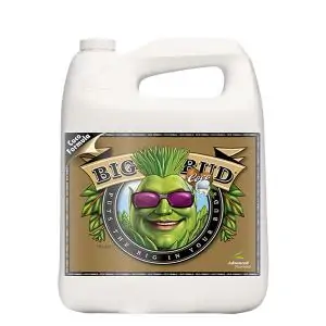 Big Bud Coco Liquid