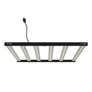 Led Lumii Xled 720 w 2.4 µmol/s Driver Integrado