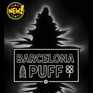 Auto Barcelona Puff
