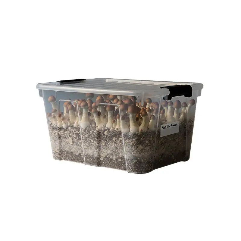Grow Kit Monotube Doble Most Value Producer