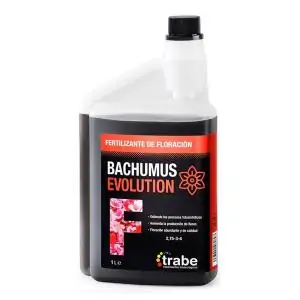 Bachumus Evolution floración 1L