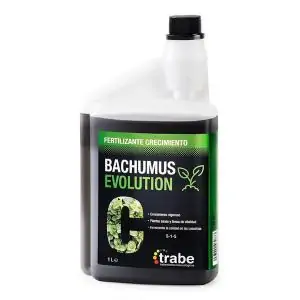 Bachumus Evolution crecimiento 1L