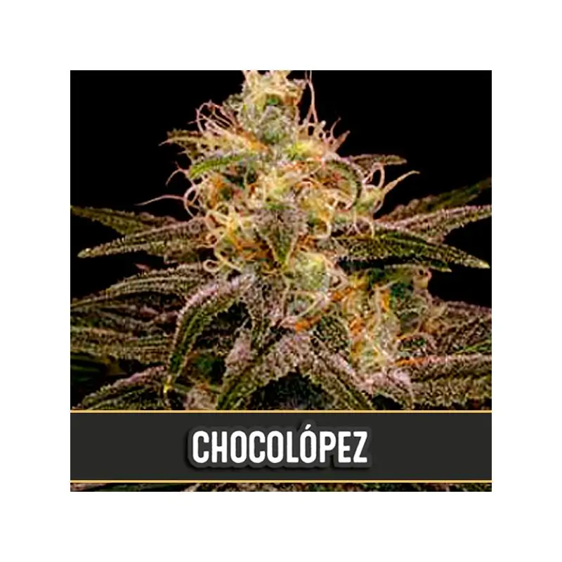 Chocolopez
