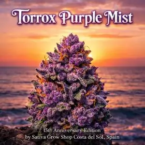 Torrox Purple Mist 15th Anniversary Edition by Sativa Grow Shop Costa del Sol Spain