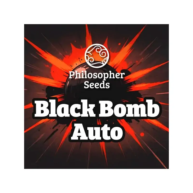 Auto Black Bomb